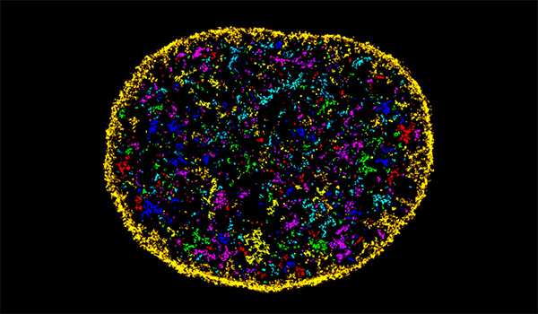 Center for Engineering MechanoBiology featured image