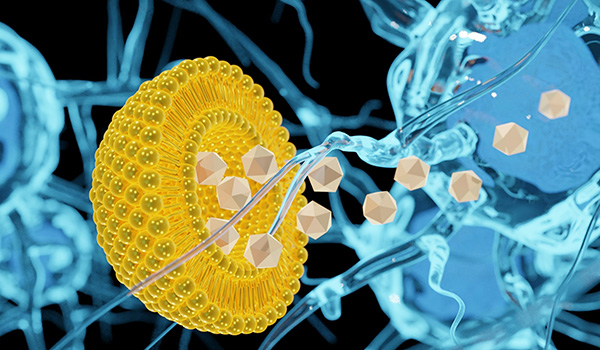 Center for Targeted Therapeutics and Translational Nanomedicine (CT3N) featured image